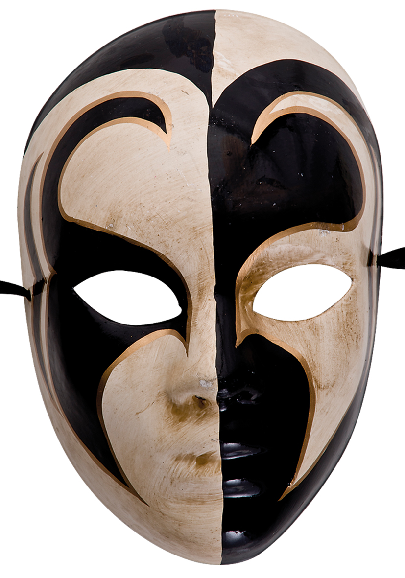 Maschera carnevale decorata aironi